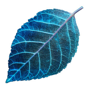 Glowing Leaf Veins Vinyl Car Decal Sticker – Waterproof & UV-Resistant 8"
