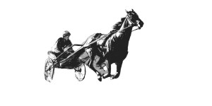 Racing Jockey Close-Up Vinyl Car Decal Sticker – Waterproof & UV-Resistant 8"