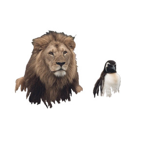 Lion And Penguin Vinyl Car Decal Sticker – Waterproof & UV-Resistant 8" Lion And Penguin Vinyl Car Decal Sticker – Waterproof & UV-Resistant 8"