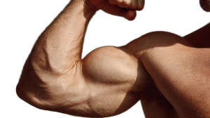 Flexing Bicep V2 Vinyl Car Decal Sticker – Waterproof & UV-Resistant 8"