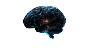 Glowing Digital Brain V3 Vinyl Car Decal Sticker – Waterproof & UV-Resistant 8"