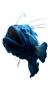 Hyper-Realistic Anglerfish Vinyl Car Decal Sticker – Waterproof & UV-Resistant Hyper-Realistic Anglerfish Vinyl Car Decal Sticker – Waterproof & UV-Resistant