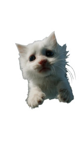 Falling Fluffy Kitten Vinyl Car Decal Sticker – Waterproof & UV-Resistant 