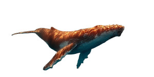 Majestic Ocean Whale Vinyl Car Decal Sticker – Waterproof & UV-Resistant 