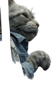 Subway Cat Commuter Vinyl Car Decal Sticker – Waterproof & UV-Resistant 