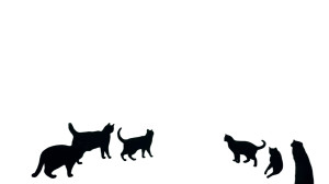 Masked Boy Elevator Vinyl Car Decal Sticker – Waterproof & UV-Resistant 