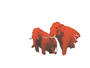 Modern Elephant Illustration V3 Vinyl Car Decal Sticker – Waterproof & UV-Resistant 