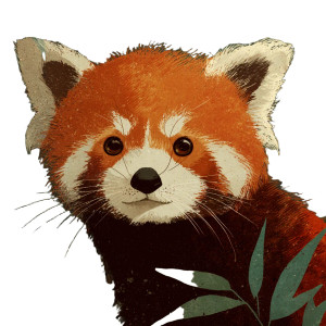 Red Panda Illustration Vinyl Car Decal Sticker – Waterproof & UV-Resistant Red Panda Illustration Vinyl Car Decal Sticker – Waterproof & UV-Resistant