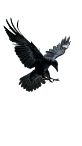 Majestic Crow Display Vinyl Car Decal Sticker – Waterproof & UV-Resistant 