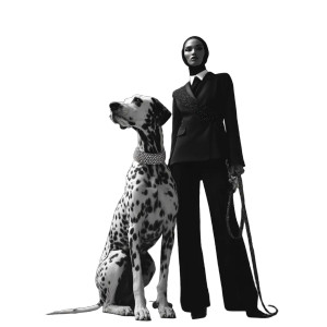 Fashion Model & Dalmatian V2 Vinyl Car Decal Sticker – Waterproof & UV-Resistant 