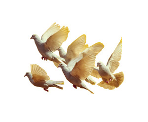 Flying Pigeons V4 Vinyl Car Decal Sticker – Waterproof & UV-Resistant 