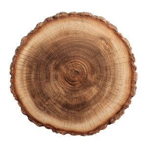 Tree Trunk Cross-Section Vinyl Car Decal Sticker – Waterproof & UV-Resistant 