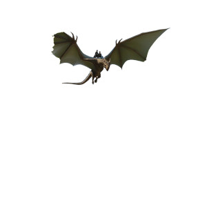 Dragon Over Campus Vinyl Car Decal Sticker – Waterproof & UV-Resistant 