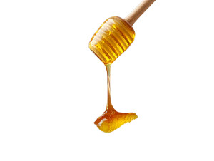 Golden Honey Foot Vinyl Car Decal Sticker – Waterproof & UV-Resistant Golden Honey Foot Vinyl Car Decal Sticker – Waterproof & UV-Resistant
