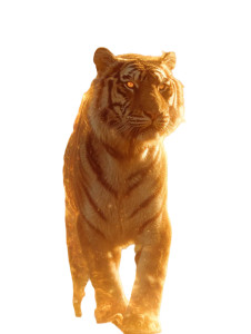 Majestic Fire Tiger Vinyl Car Decal Sticker – Waterproof & UV-Resistant 