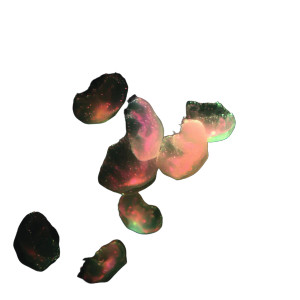 Shimmering Jellyfish Vinyl Car Decal Sticker – Waterproof & UV-Resistant 