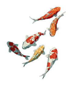 Anime Koi Pond Vinyl Car Decal Sticker – Waterproof & UV-Resistant Anime Koi Pond Vinyl Car Decal Sticker – Waterproof & UV-Resistant