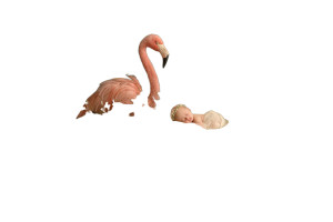 Flamingo And Baby Vinyl Car Decal Sticker – Waterproof & UV-Resistant Flamingo And Baby Vinyl Car Decal Sticker – Waterproof & UV-Resistant