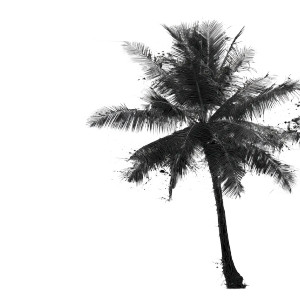 Palm Tree Silhouette V6 Vinyl Car Decal Sticker – Waterproof & UV-Resistant 
