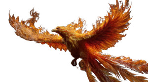 Phoenix In Flames Vinyl Car Decal Sticker – Waterproof & UV-Resistant Phoenix In Flames Vinyl Car Decal Sticker – Waterproof & UV-Resistant