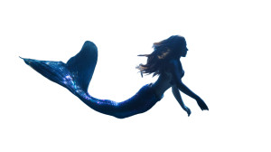 Graceful Mermaid Vinyl Car Decal Sticker – Waterproof & UV-Resistant Graceful Mermaid Vinyl Car Decal Sticker – Waterproof & UV-Resistant