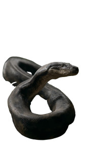 Titanoboa In Forest Vinyl Car Decal Sticker – Waterproof & UV-Resistant 