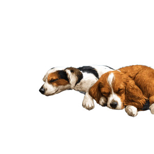 Sleeping Dogs Vinyl Car Decal Sticker – Waterproof & UV-Resistant 