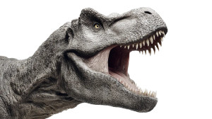 Roaring T-Rex V15 Vinyl Car Decal Sticker – Waterproof & UV-Resistant 