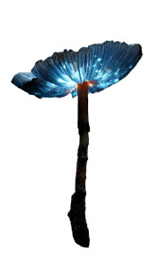 Bioluminescent Mushroom V3 Vinyl Car Decal Sticker – Waterproof & UV-Resistant 