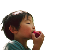Boy Eating Apple Vinyl Car Decal Sticker – Waterproof & UV-Resistant 