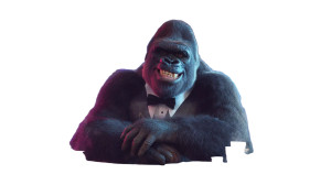 Gorilla Poker Night Vinyl Car Decal Sticker – Waterproof & UV-Resistant 