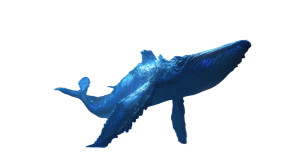 Majestic Sea Creature Vinyl Car Decal Sticker – Waterproof & UV-Resistant 