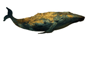 Surreal Flying Whale Vinyl Car Decal Sticker – Waterproof & UV-Resistant 