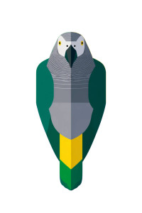 Stylized African Parrot Vinyl Car Decal Sticker – Waterproof & UV-Resistant Stylized African Parrot Vinyl Car Decal Sticker – Waterproof & UV-Resistant