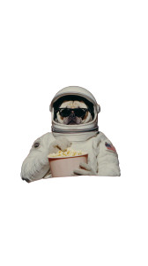 Astronaut Pug Vinyl Car Decal Sticker – Waterproof & UV-Resistant Astronaut Pug Vinyl Car Decal Sticker – Waterproof & UV-Resistant