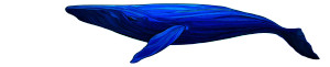 Blue Whale Vinyl Car Decal Sticker – Waterproof & UV-Resistant 