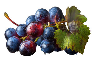 Hyperrealistic Grape Vinyl Car Decal Sticker – Waterproof & UV-Resistant 