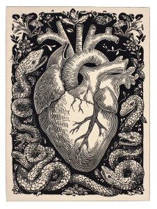 Anatomical Heart Snakes Vinyl Car Decal Sticker – Waterproof & UV-Resistant Anatomical Heart Snakes Vinyl Car Decal Sticker – Waterproof & UV-Resistant