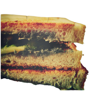 Moldy Sandwich Vinyl Car Decal Sticker – Waterproof & UV-Resistant Moldy Sandwich Vinyl Car Decal Sticker – Waterproof & UV-Resistant