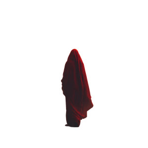 Mystic Veiled Woman Vinyl Car Decal Sticker – Waterproof & UV-Resistant Mystic Veiled Woman Vinyl Car Decal Sticker – Waterproof & UV-Resistant