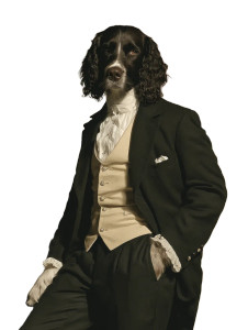 Proud Spaniel Portrait Vinyl Car Decal Sticker – Waterproof & UV-Resistant Proud Spaniel Portrait Vinyl Car Decal Sticker – Waterproof & UV-Resistant