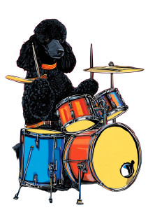 Jazz Poodle Drummer Vinyl Car Decal Sticker – Waterproof & UV-Resistant 