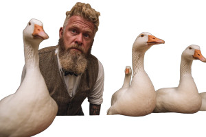 Exasperated Teacher Geese Vinyl Car Decal Sticker – Waterproof & UV-Resistant 