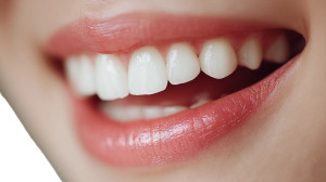 Dental Beauty Care Vinyl Car Decal Sticker – Waterproof & UV-Resistant 