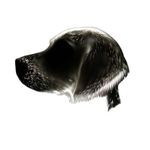 Dog Profile V4 Vinyl Car Decal Sticker – Waterproof & UV-Resistant 