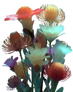 Fynbos Flowers Vinyl Car Decal Sticker – Waterproof & UV-Resistant 