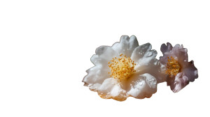 Camellia Floral Close-Up V2 Vinyl Car Decal Sticker – Waterproof & UV-Resistant Camellia Floral Close-Up V2 Vinyl Car Decal Sticker – Waterproof & UV-Resistant
