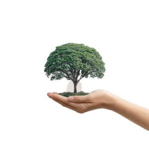 Tree On Globe Vinyl Car Decal Sticker – Waterproof & UV-Resistant 