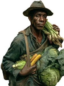 Giant Vegetable Vendor Vinyl Car Decal Sticker – Waterproof & UV-Resistant 