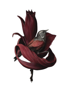 Surrealist Bird Painting Vinyl Car Decal Sticker – Waterproof & UV-Resistant 